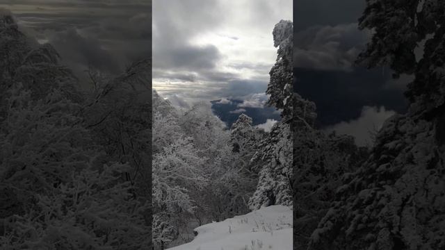 Вверх от массандры смотреть онлайн