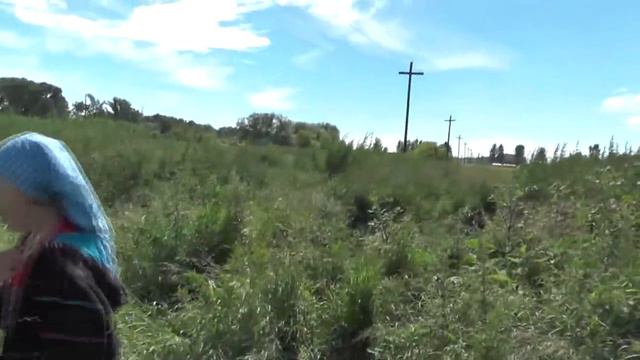 Обед на холме, чтобы подновить память и без комаров бы. 08. 07. 20118 смотреть онлайн