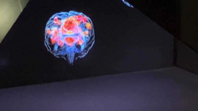 Университет Сириус - люди и растения смотреть онлайн