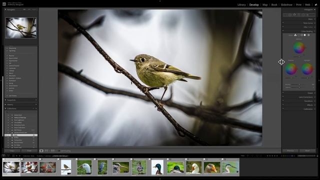 Capture One vs Lightroom - Which is BEST? смотреть онлайн