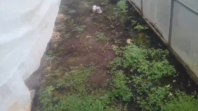 Деревенские будни/ Железный купорос для теплицы и сада смотреть онлайн