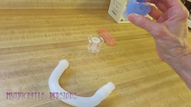 15 04 25 Nebulizing, starring Persian kitty, Mariah смотреть онлайн