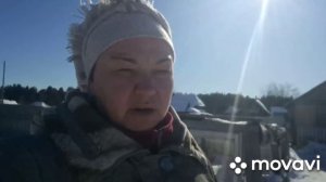 Откорм и содержание бычков зимой. Как мы пережили морозы.