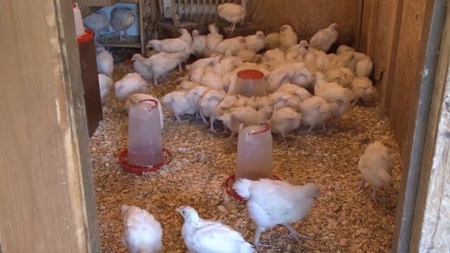 Эксклюзивный продукт смотреть онлайн