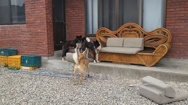 Daily Sketch - 23년 5월 3일 смотреть онлайн