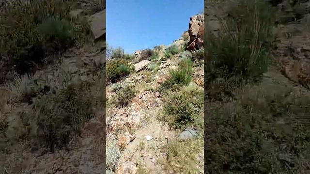 Кыргызстан. Чаткал району. Терек Сай. Арчалуу жайлоосу. смотреть онлайн