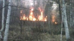 Пожары В Бурятии 4