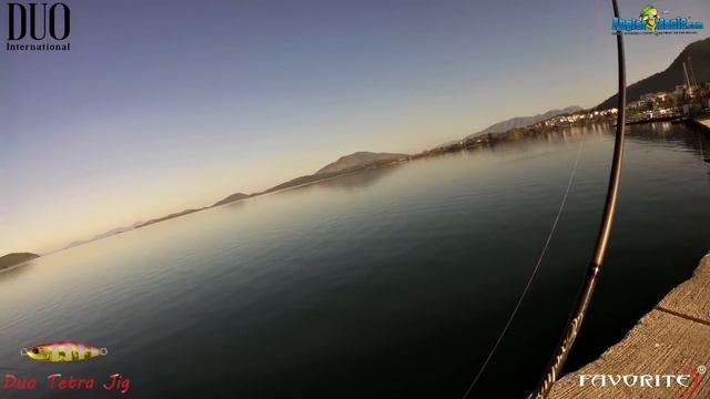 Duo Tetra Works - Tetra Jig