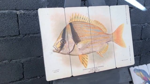Картины на досках .Birds & Fish design. Студия RIDS2.0 смотреть онлайн