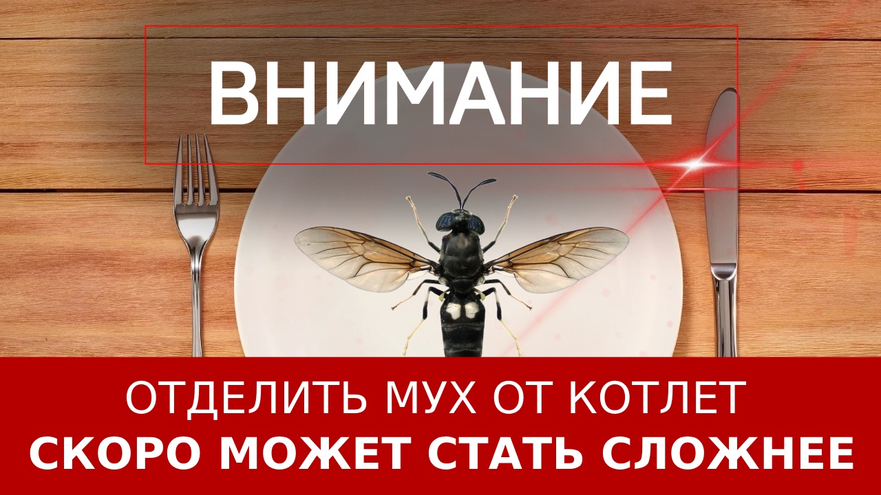 Отделить мух от котлет скоро может стать сложнее смотреть онлайн