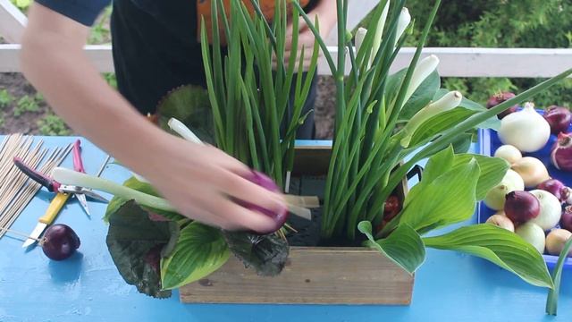 DIY / ОВОЩНОЙ БУКЕТ/ Как сделать букет из овощей СВОИМИ РУКАМИ / VEGETABLE BOUQUET смотреть онлайн