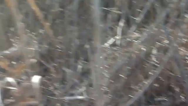 Откопал форму советского солдата. Награды, знаки различия и другое. смотреть онлайн