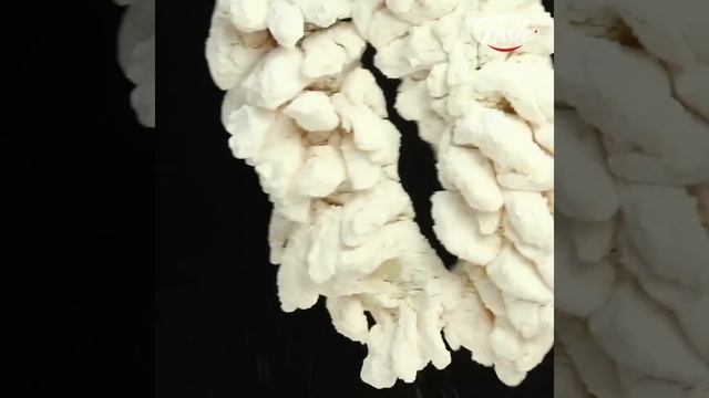 Amazing Knife Skills - Sweet and Sour Mandarin Fish l 松鼠鱼 смотреть онлайн