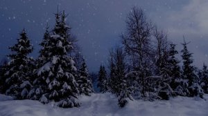 Крепкий сон | Слушай Божье Слово перед сном | Красивый снегопад | Relaxing | Без фоновой музыки