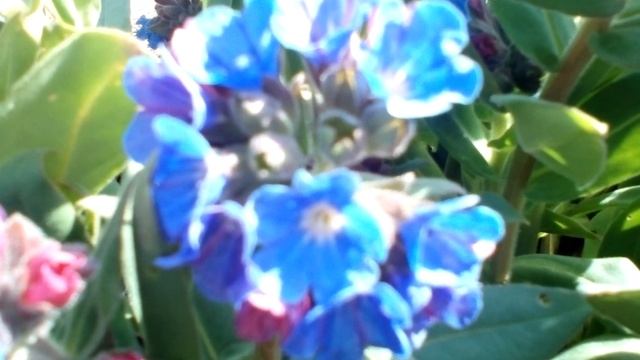 Христианские стихи с очень глубоким смыслом. смотреть онлайн