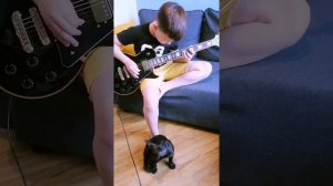 Лесник / КиШ / Музыка на электрогитаре