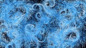 Мороз на стекле футаж бесплатные футажи free footage