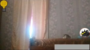 Пять ночей у ёжика 1 и 2 ночь.