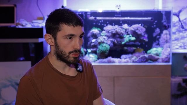 Усы. Лапы. Хвост. Подводный мир смотреть онлайн