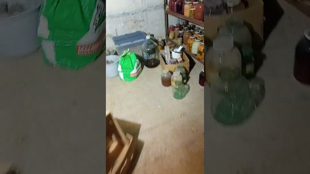 моё первое УЗВ и поголовье раков) смотреть онлайн