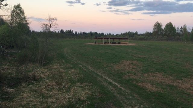 Кабаны на прикорме смотреть онлайн