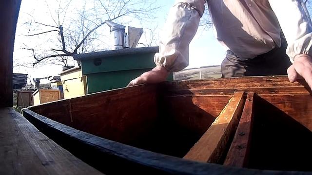 2 семьи не пускают 3й год-Что делать с злой пчелиной семьей. Вопрос подписчика. смотреть онлайн