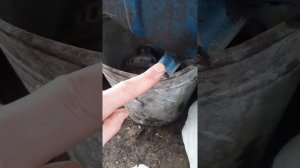Чистка топливного бака мтз 50