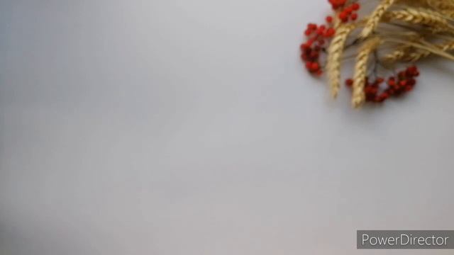 Готовые работы. 2 новых проекта. Лебединное семейство, первый зуб и снова сливовый пирог смотреть онлайн