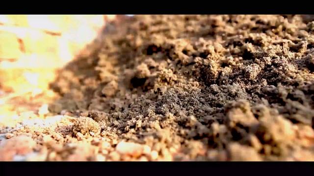 Free new life | 2 Girls Build 2 Houses And Build A Green Farm In 2 Years For A New Life смотреть онлайн