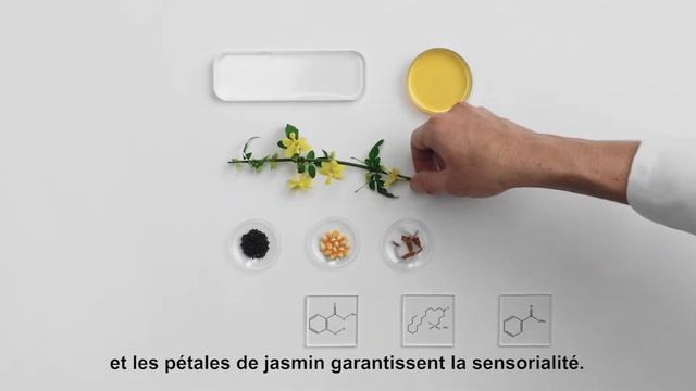 Source Essentielle  Video Scientifique