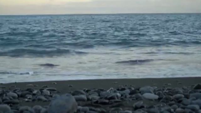 Саксофон+инстр. гр. "СТРЕМЛЕНИЕ"-1984г. смотреть онлайн