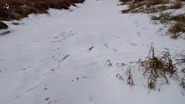 Диваны4: По реке на велике (07 декабря 2014) смотреть онлайн