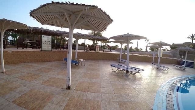 Египет .Марса Алам . Отель Utopia Beach Club. Утренний снорклинг House reef...24.04.2023 год-ч.18-1 смотреть онлайн