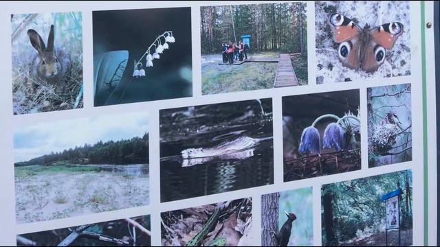 Первый и единственный смотреть онлайн