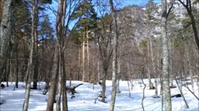 КАК НЕ ПОПАСТЬ НА РОМАН КОШ смотреть онлайн