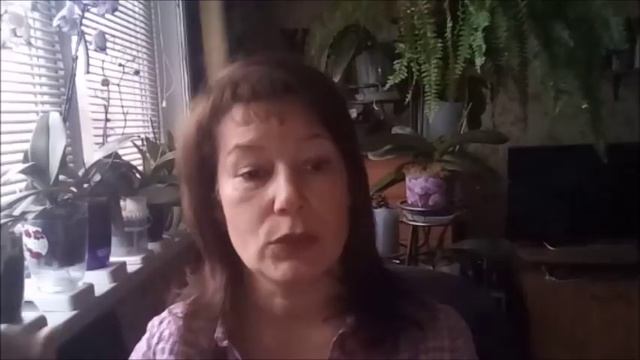 Как ухаживать за орхидеей в зимнй период. Самые важные моменты. Берём на карандаш.