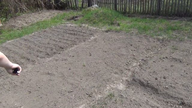 Таец кот первый раз на даче 2 смотреть онлайн