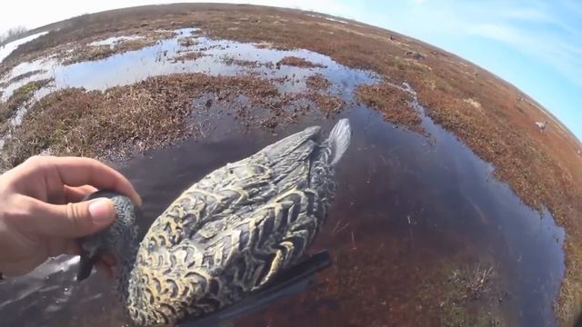 полный разбор утиных чучел NORTH WAY SoftPlast смотреть онлайн