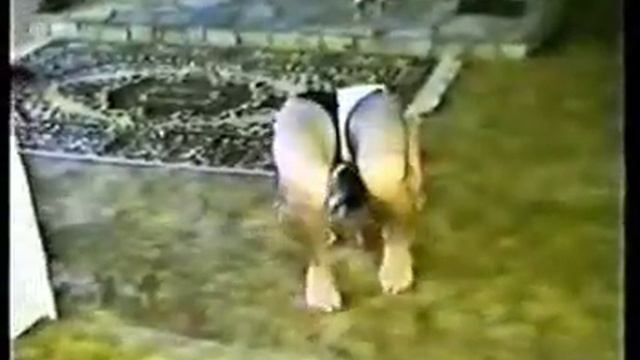 Contortionist Ula Mirror Contortion смотреть онлайн