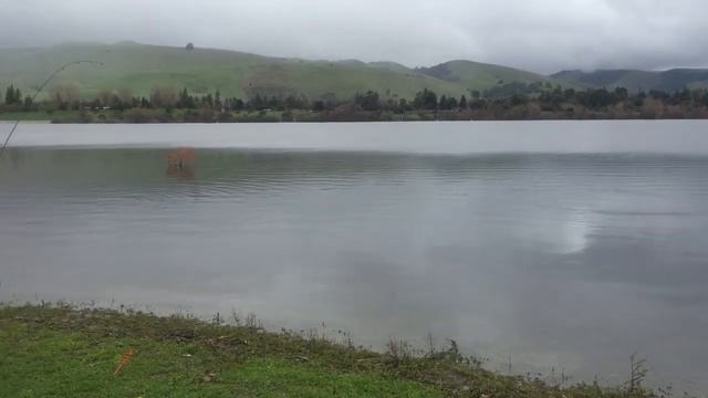 Quarry lakes trout! смотреть онлайн