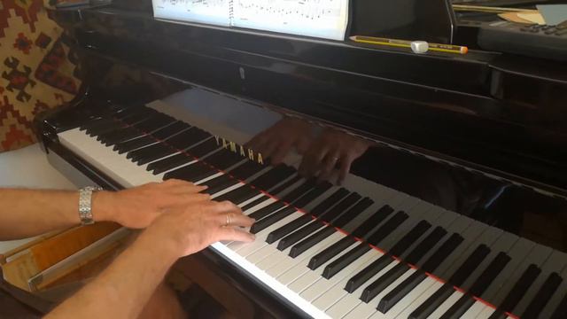 Daniel S.-Heyman siguiendo a Dreyfus en el III mov. del Concierto Italiano de Bach смотреть онлайн