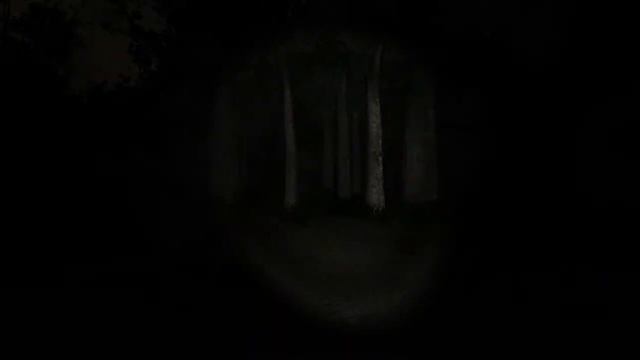 Обзор хоррора Slender The Eight Pages - Ужасный слендермен смотреть онлайн