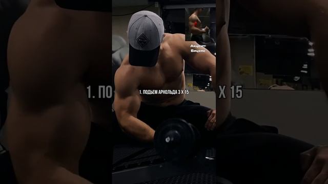 лучшие упражнения для бицепса