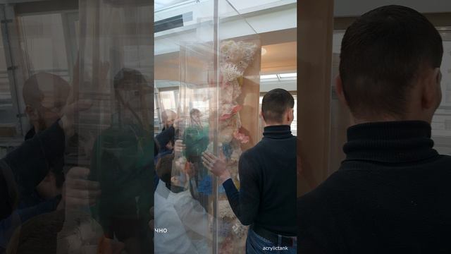 Аквариум 1500 литров смотреть онлайн