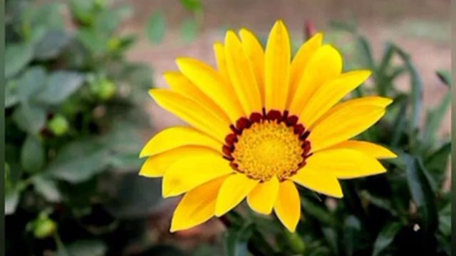 yoga 530-14ikb|yoga 530-14ikb ram upgrade|lenovo yoga 530 review|Mrs.Wealth Tips|enovo yoga 530 смотреть онлайн