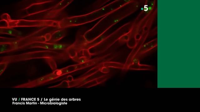 VU du 26/09/23 : "Écologie à la française" смотреть онлайн