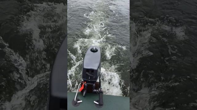 лодка феникс 280 и мотор sea-pro 2.6 в деле смотреть онлайн