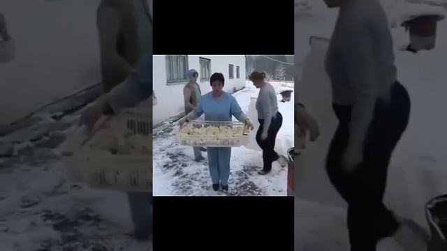 Куда делись российские куры и птицы? смотреть онлайн