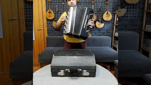 Accordion Bayan Rubin смотреть онлайн