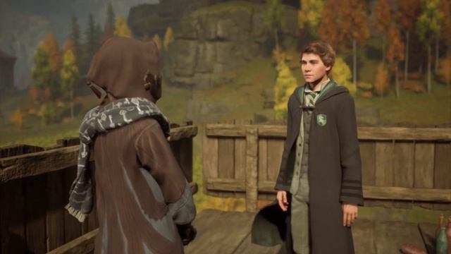 Hogwarts Legacy прохождение без комментариев №25 смотреть онлайн